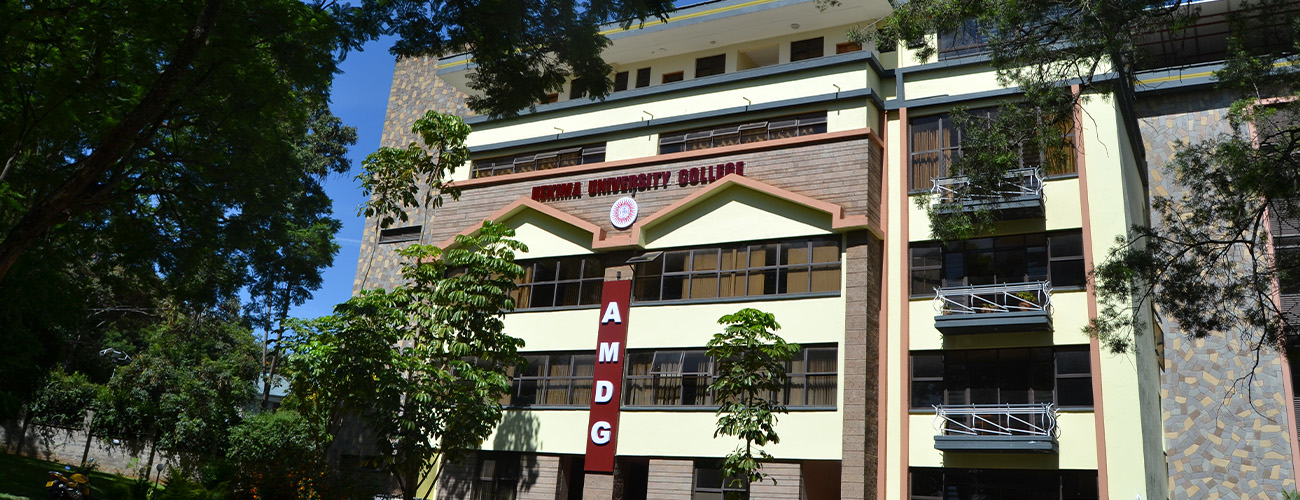 Hekima Institute of Peace Studies and International Relations