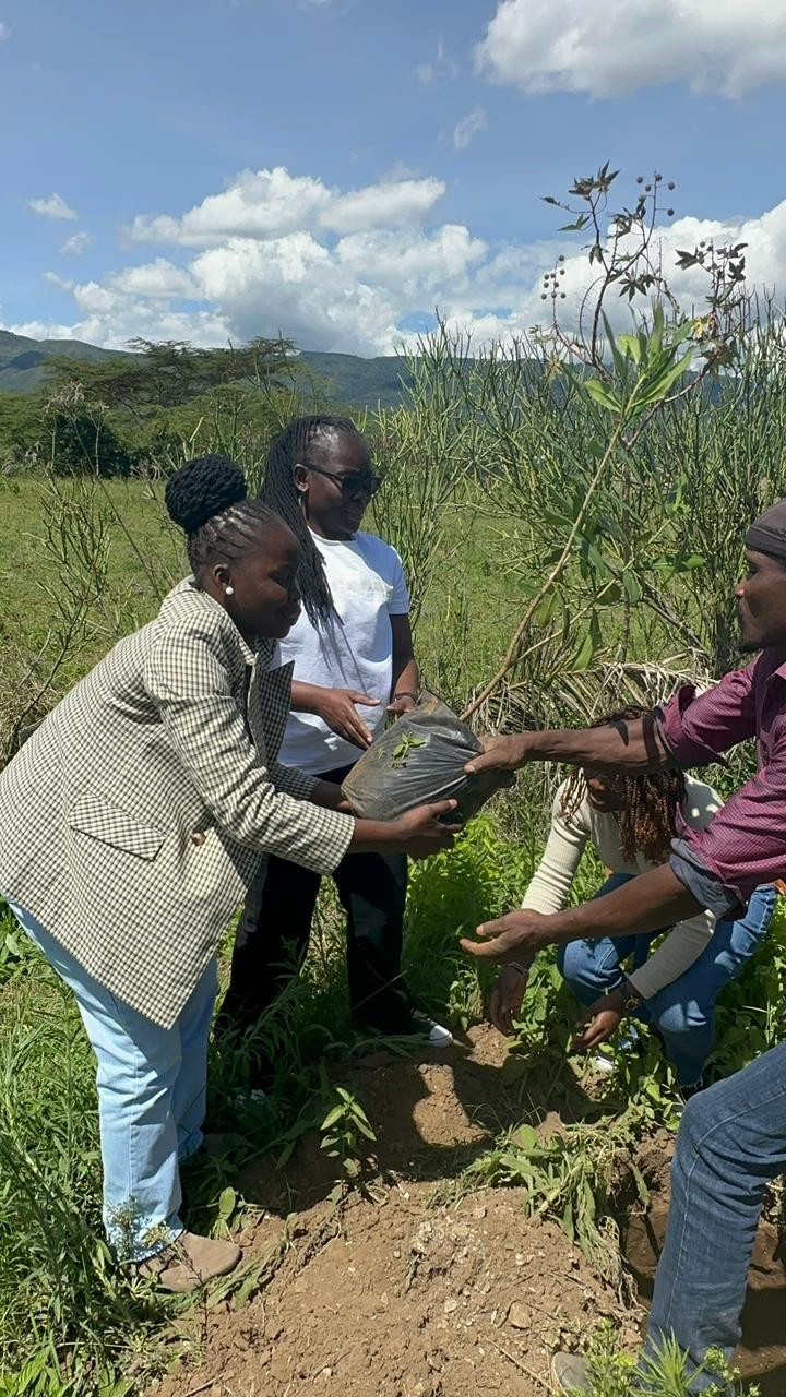 Mai Mahiu Church Forest Creation Program Activity Report, In Partnership with Oiko Diplomatique Organization.